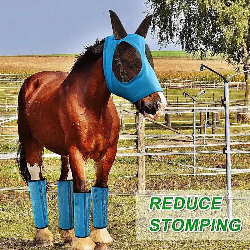 Horse Fly Boots Protective Horse Leg Wraps - MyPetDollar.com