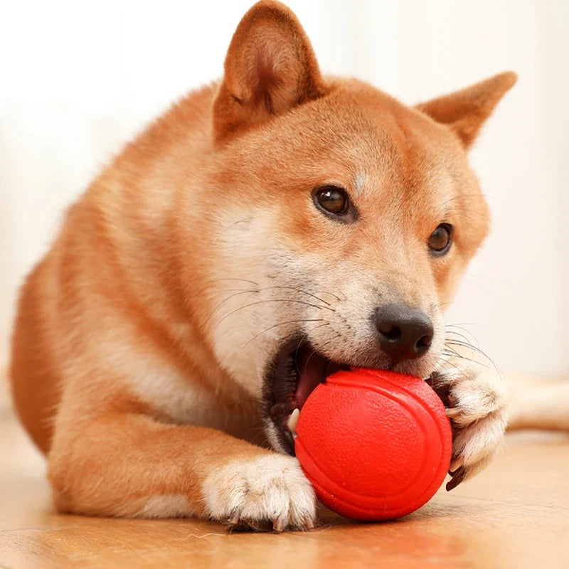 MADDEN S-XL Sizes Solid Rubber Balls Bouncy - MyPetDollar.com