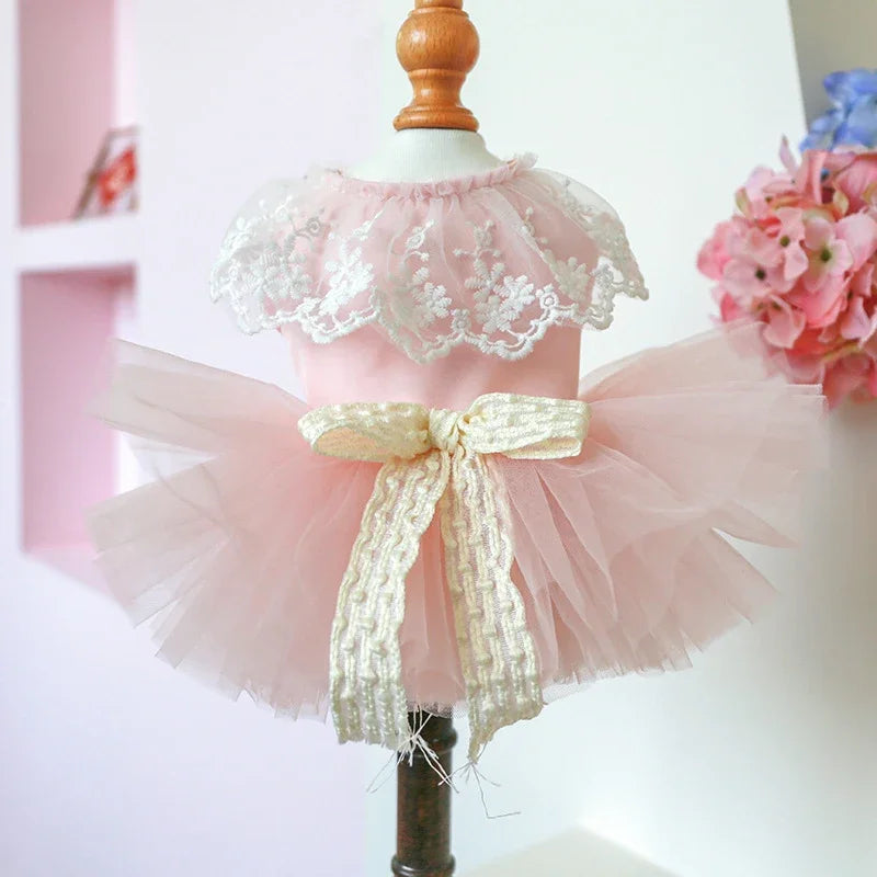 Summer Dog Dress Puppy Cat Dresses