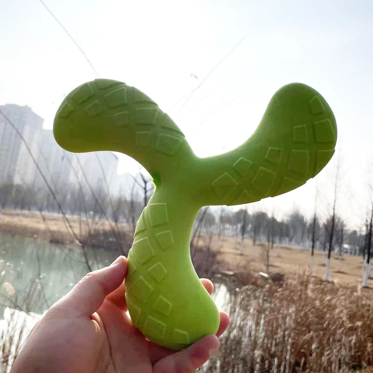 Fun Pet Toy Water Floating Triangle - MyPetDollar.com