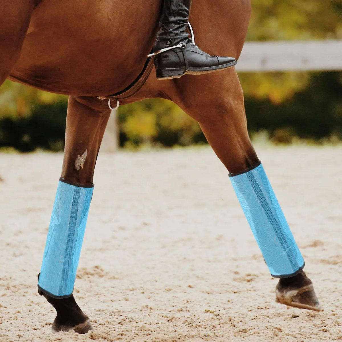 4Pcs Horse Leg Protection Net Cover - MyPetDollar.com