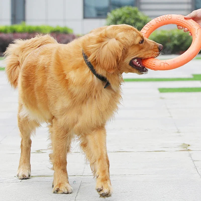 1pc Orange Dog Toys Pet Flying Disk Training - MyPetDollar.com