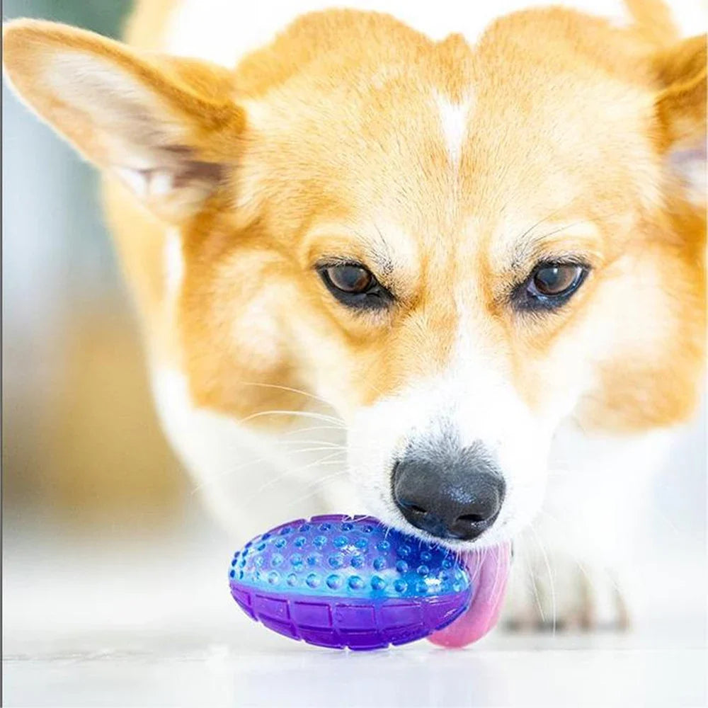 Pet Dog Puppy Squeaky Chew Toys Sound Pure - MyPetDollar.com