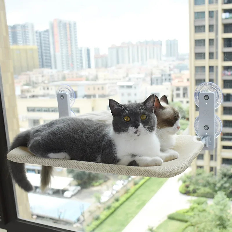 Cat Hammock Foldable Window Suction Cup - MyPetDollar.com