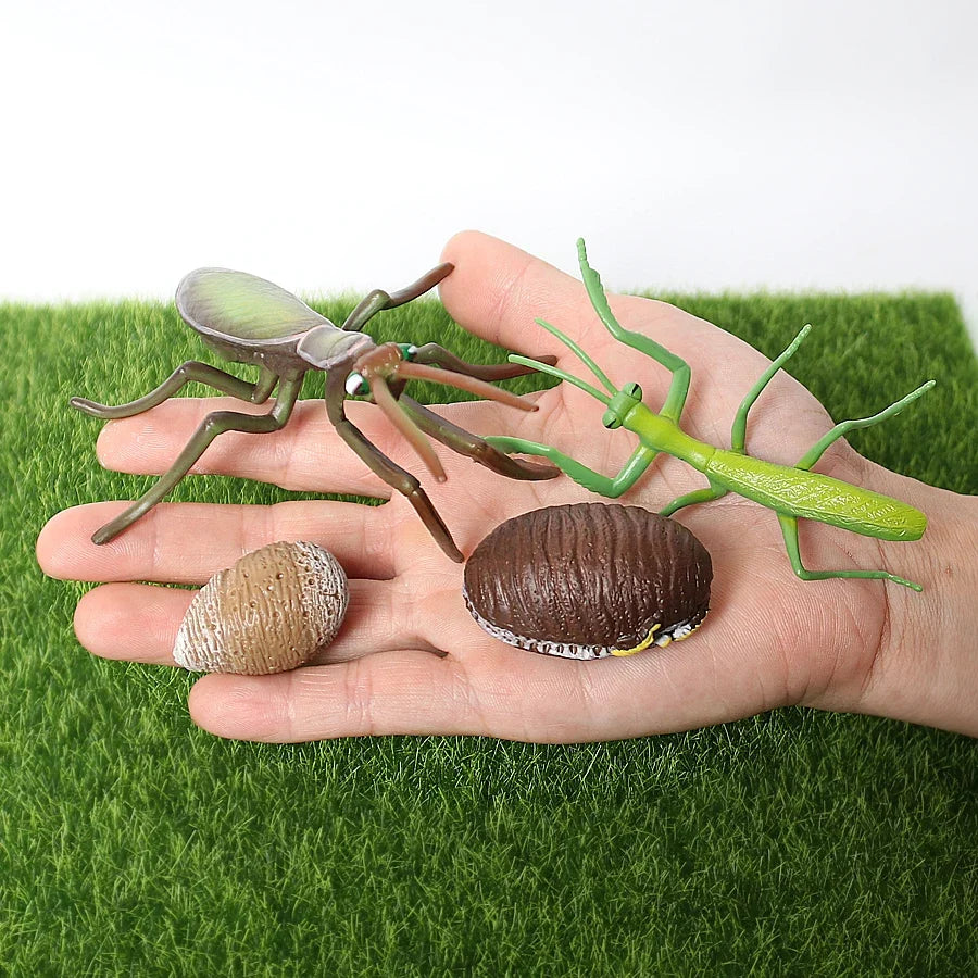 Realistic Insect Grasshopper Mosquito Cicad - MyPetDollar.com