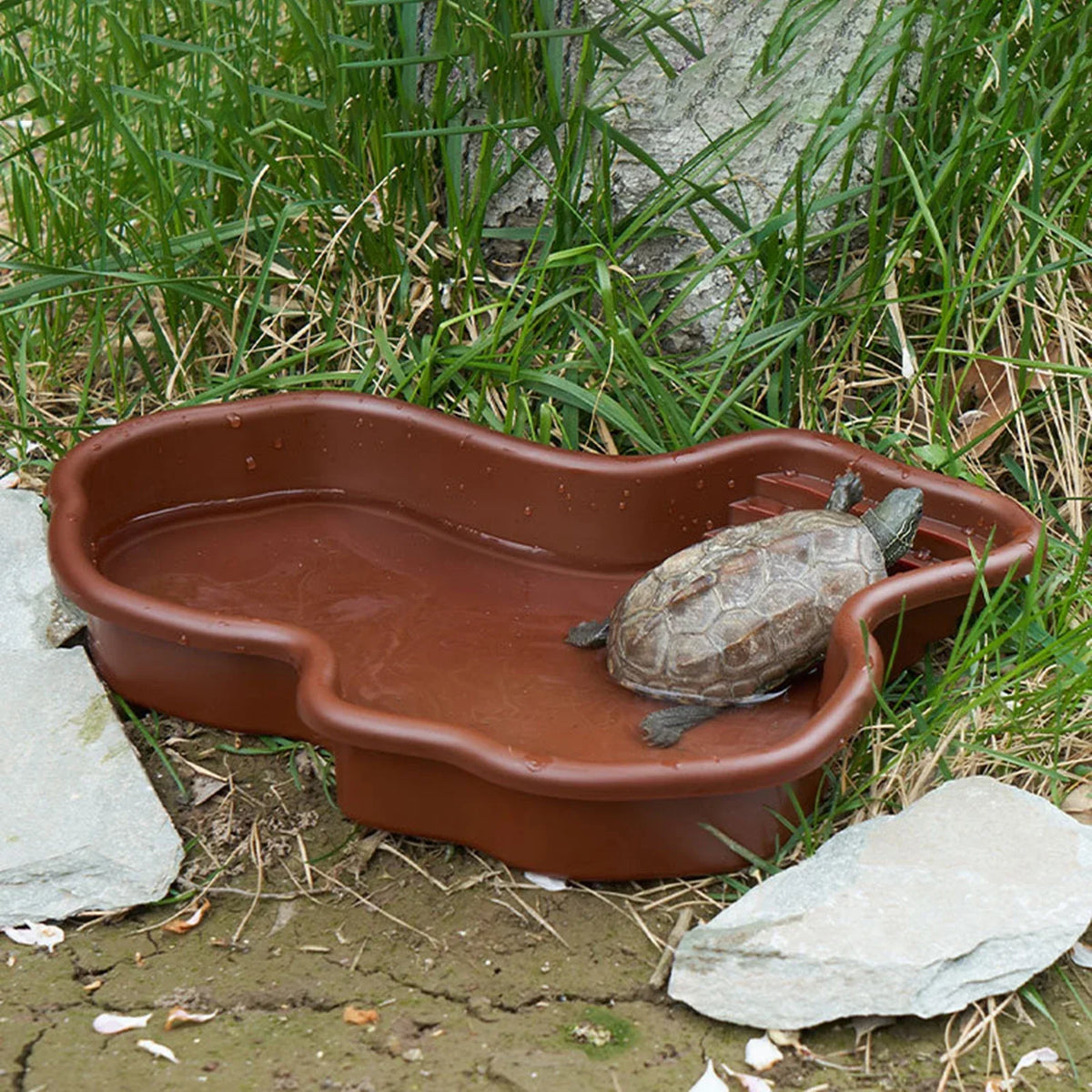 Reptile Bathing Pool Amphibians Accessories - MyPetDollar.com