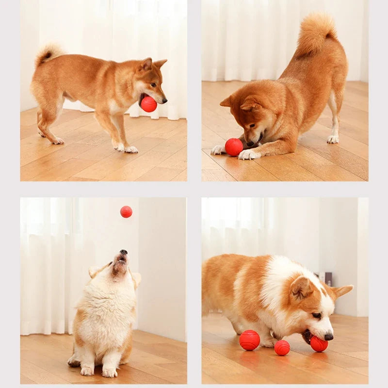 MADDEN S-XL Sizes Solid Rubber Balls Bouncy - MyPetDollar.com