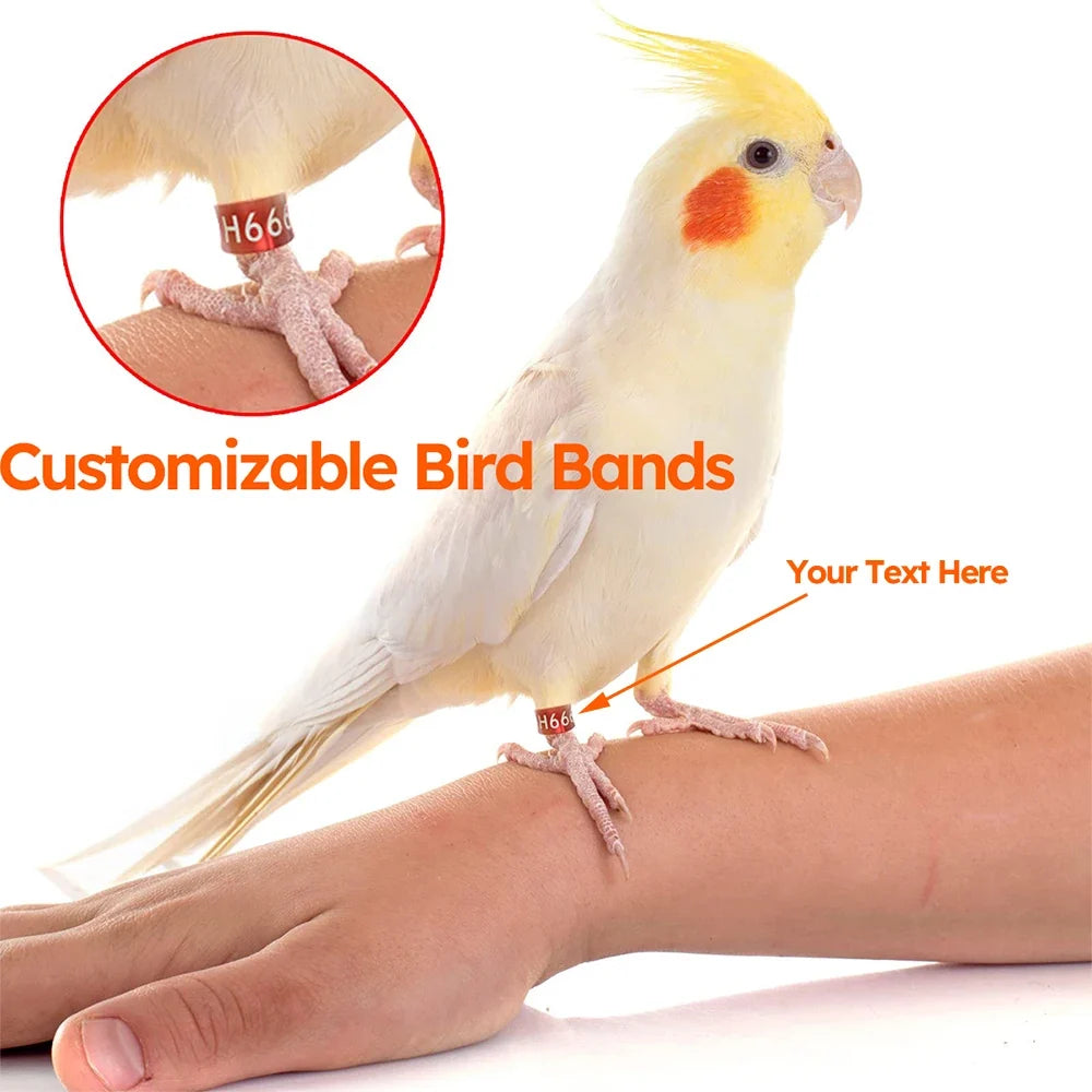 10pcs Customized Bird Rings, Durable Random - MyPetDollar.com