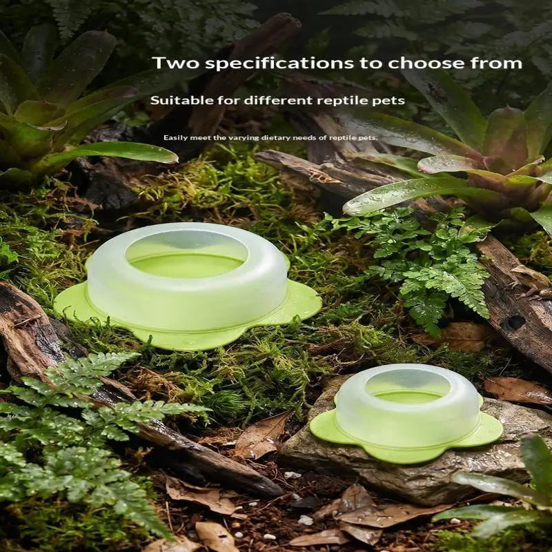 【CC】1Pcs ABS Reptile Feeding Dish Anti - MyPetDollar.com
