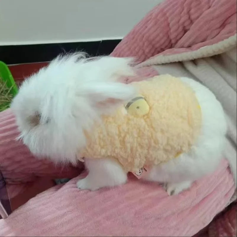 Winter Warm Bunny Rabbit Sweater for Little - MyPetDollar.com