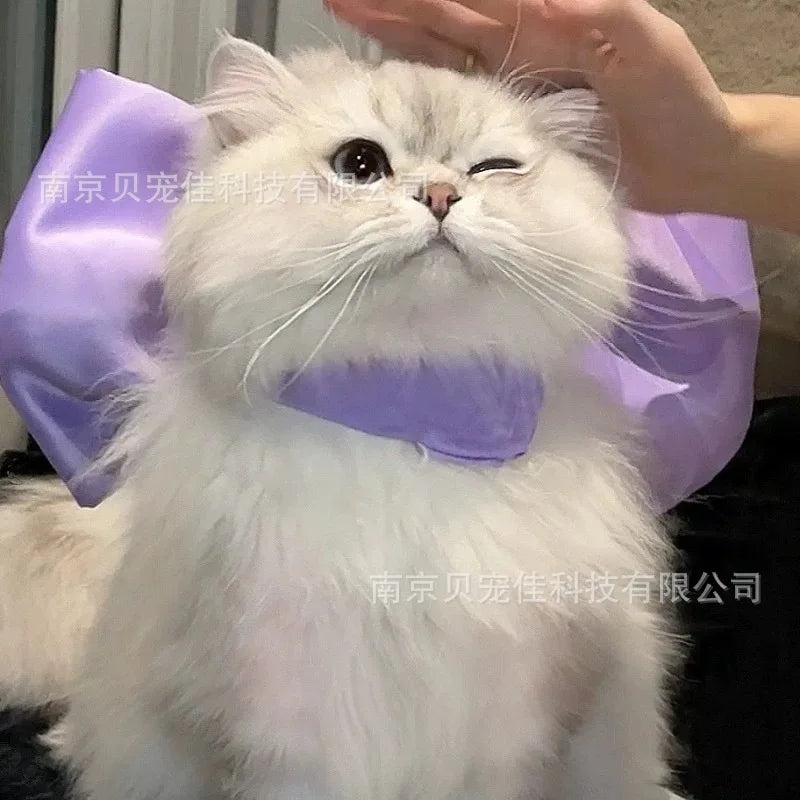 Mary Cat Bow Tie Pet Collar Scarf Necklace