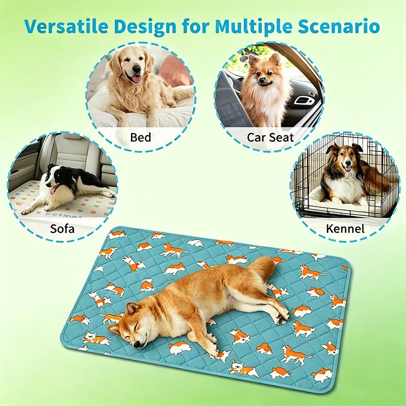 Reusable Washable Dog Pee Pad Absorbent - MyPetDollar.com