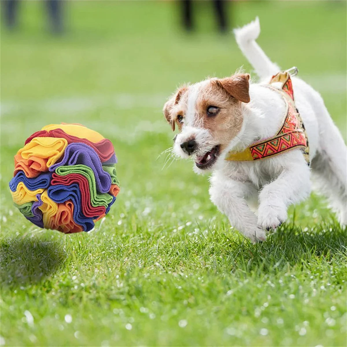 Dog Sniffing Ball Puzzle Toys Increase IQ - MyPetDollar.com