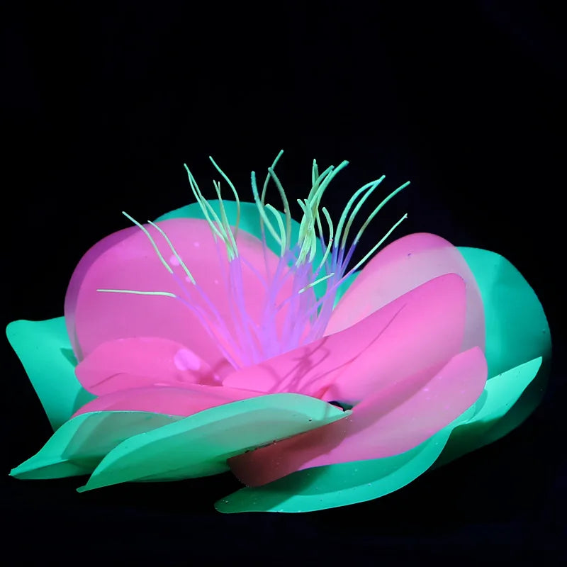 Aquarium Fish Tank Decorations with - MyPetDollar.com