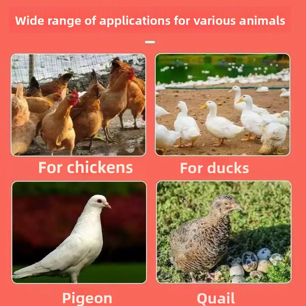 Automatic Gravity Chicken Duck Feeder Kit - MyPetDollar.com