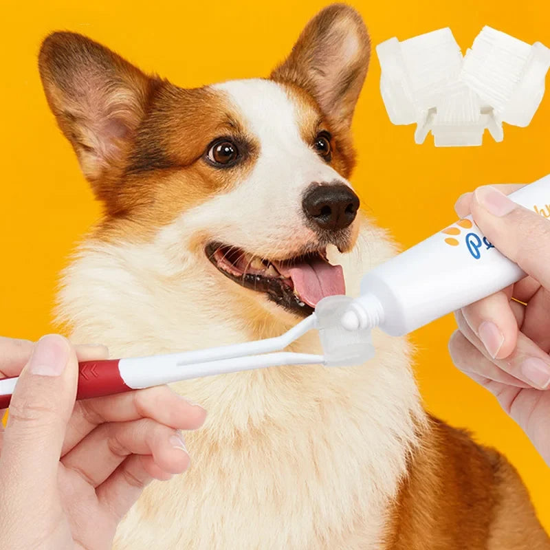 3 Sided Soft Dog Teeth Brush Head Toothbrush - MyPetDollar.com