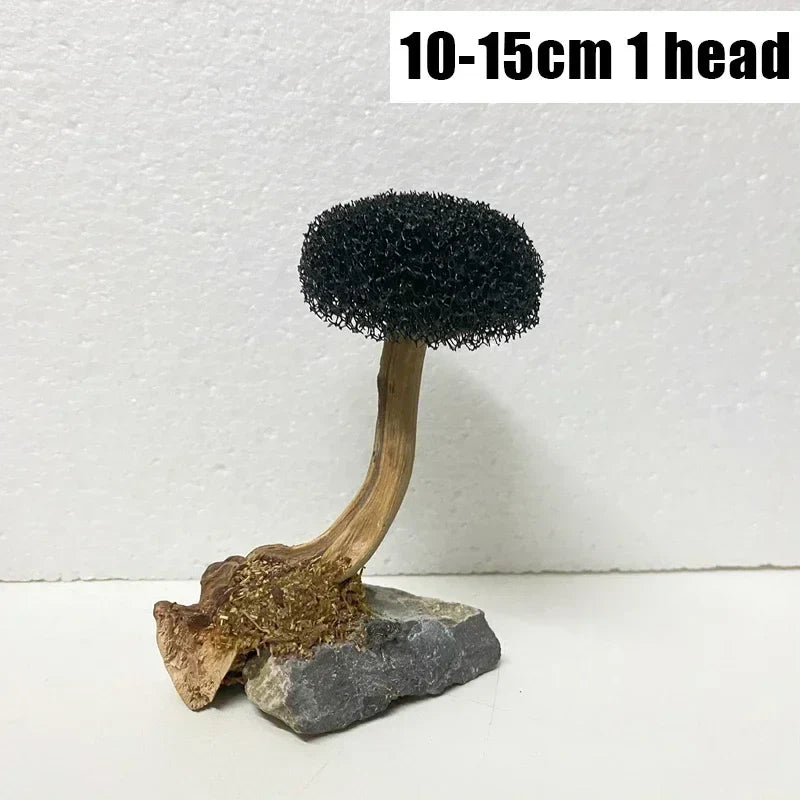 Fish Tank Plant Moss Tree Decoration - MyPetDollar.com