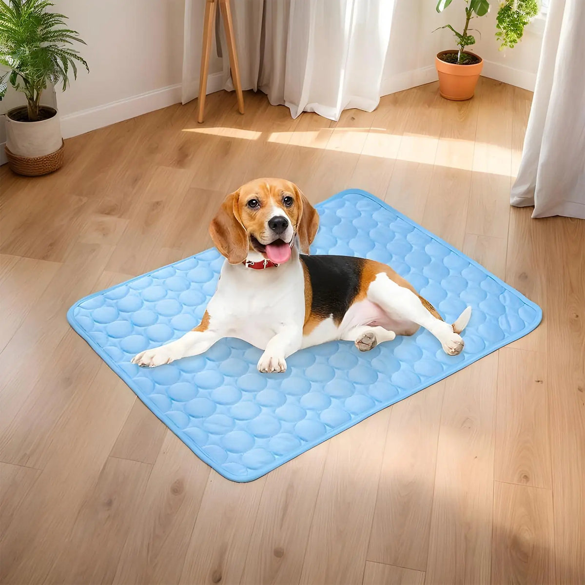 Dog Cooling Mat Summer Pet Cold Bed Extra - MyPetDollar.com