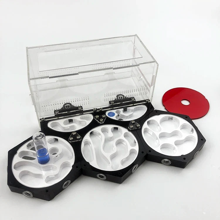 Moisturizing Idea Reptile Terrarium Ants - MyPetDollar.com