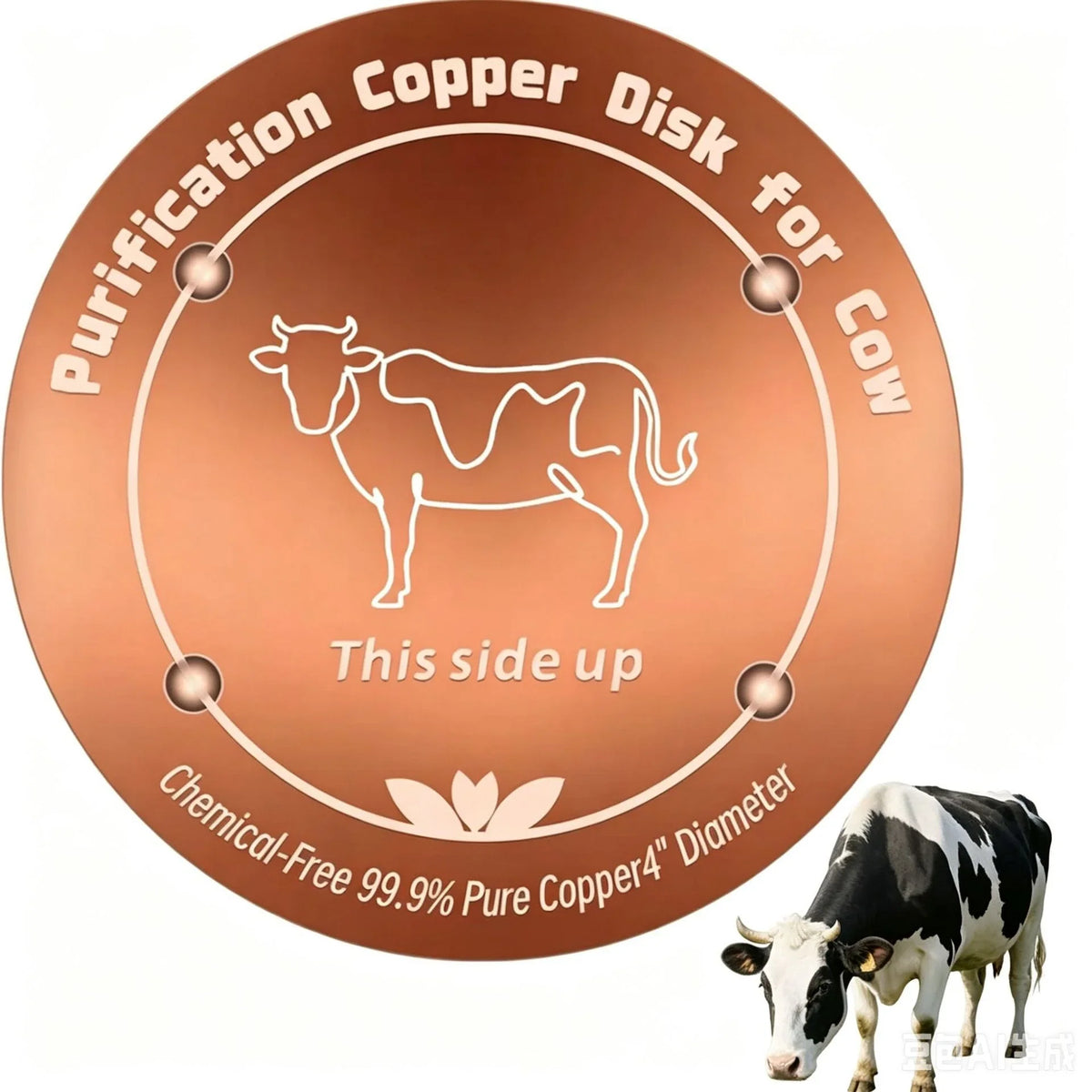 10CM Bird Bath Copper Disk Purification Tray - MyPetDollar.com