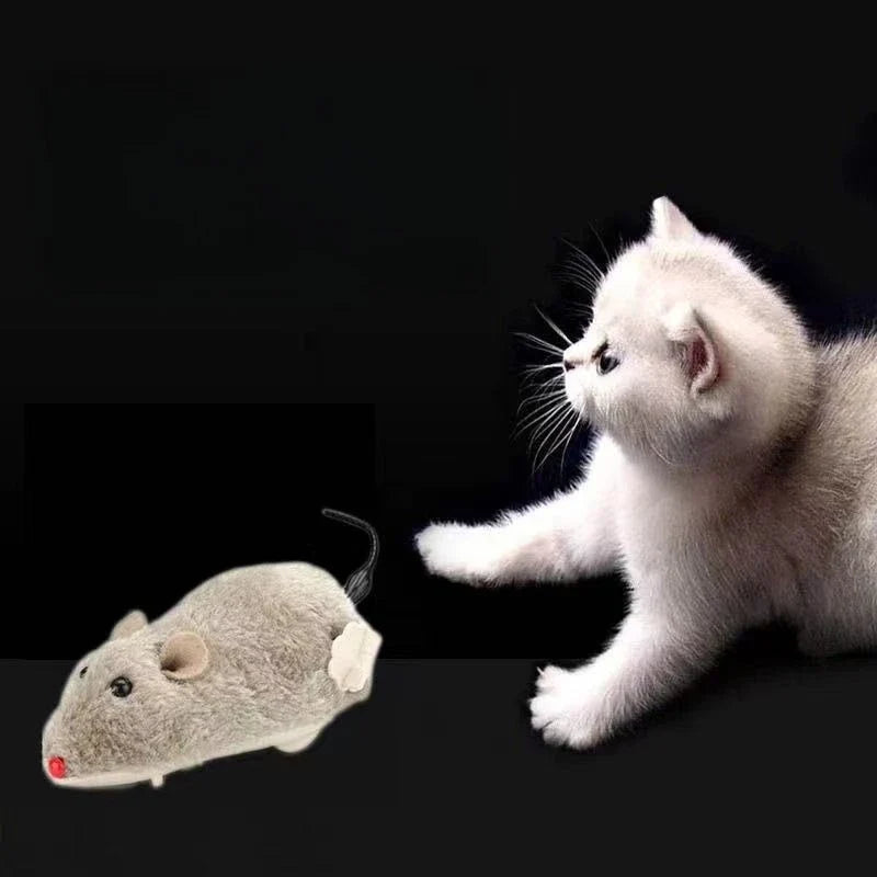 Pet Motor Fun and Interactive Plush Wind-Up - MyPetDollar.com