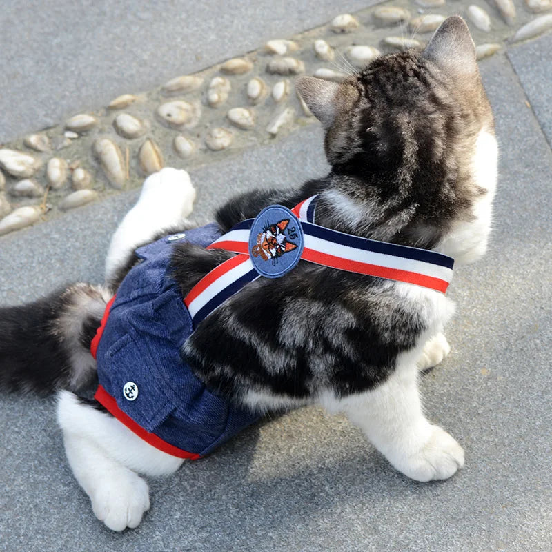 Cat Dog Female Panties Denim Strap Pet - MyPetDollar.com