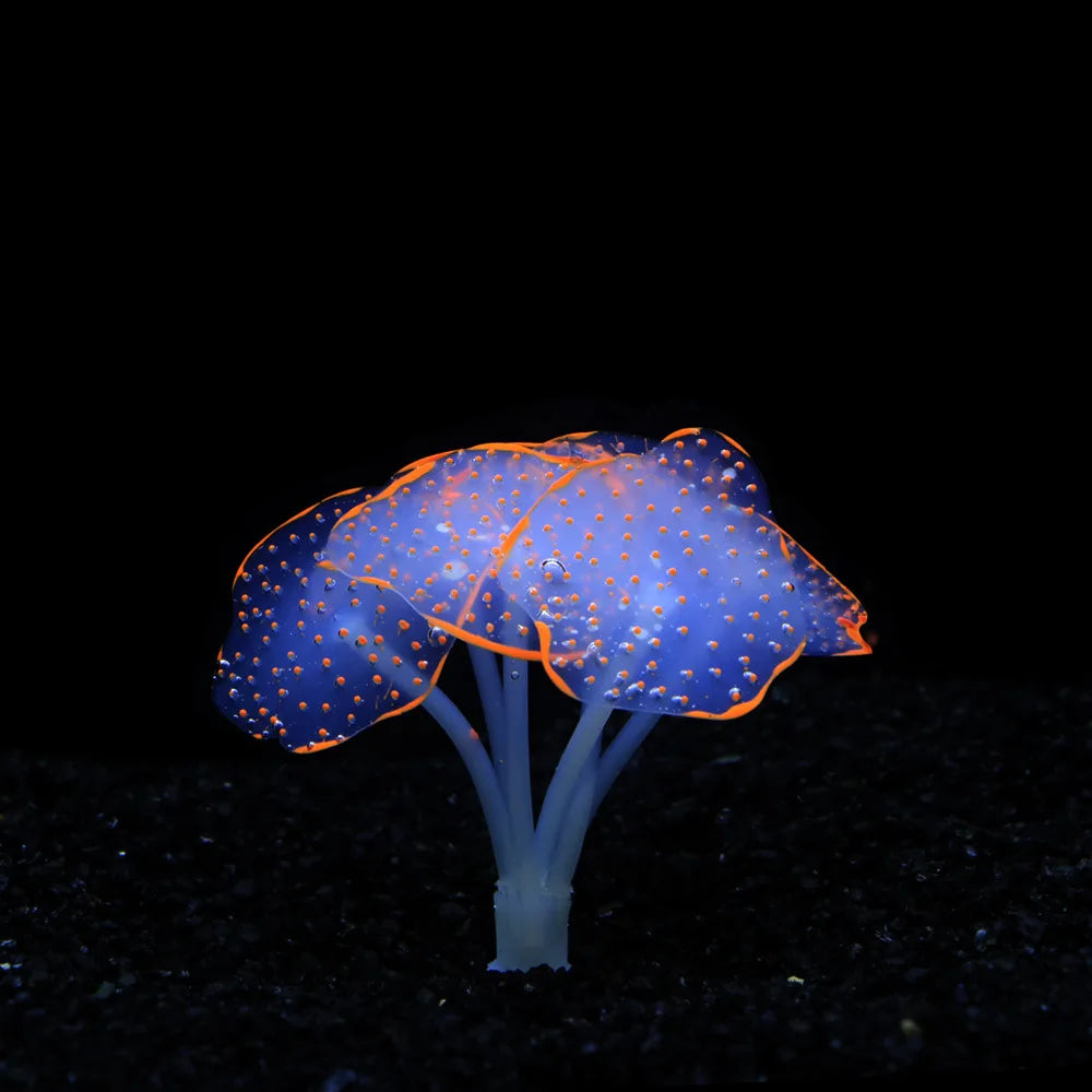 Aquarium Fish Tank Decorations with - MyPetDollar.com