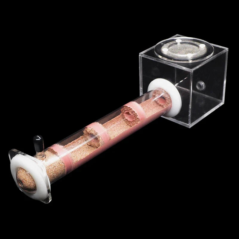 DIY Various Size Ant Farm Bamboo Tube Nest - MyPetDollar.com