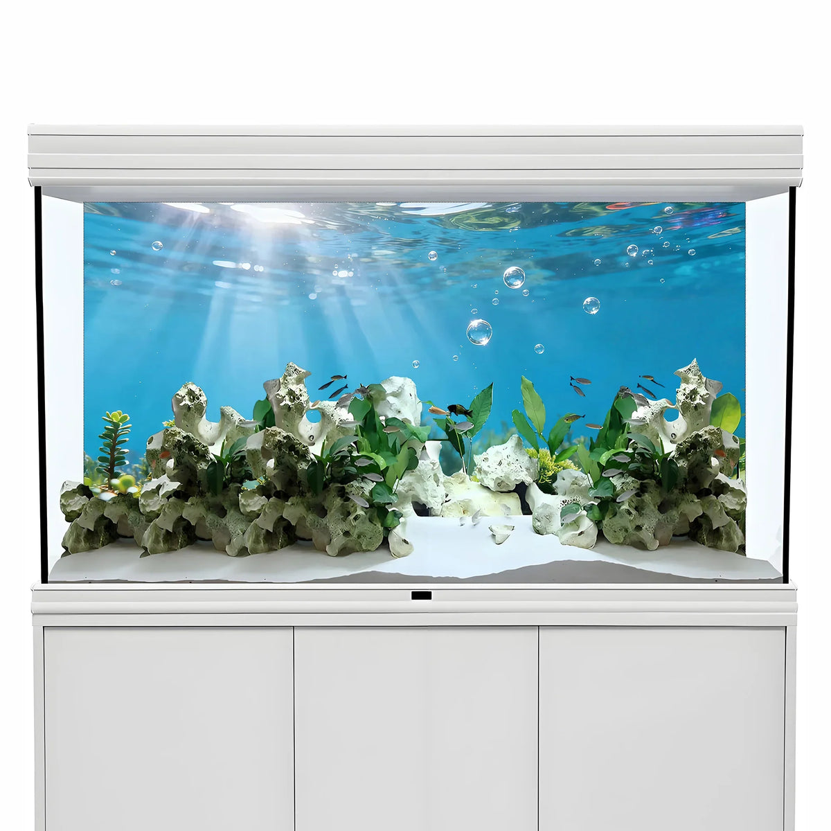 Bubble Oasis, Fish Tank Background Painting, - MyPetDollar.com
