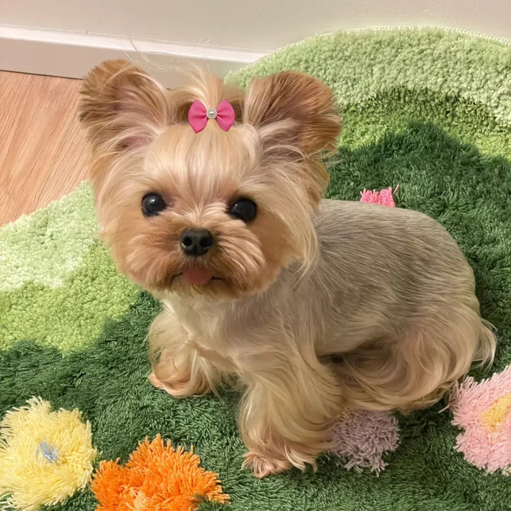 10pcs Hair Bows For Dog Pet Grooming - MyPetDollar.com