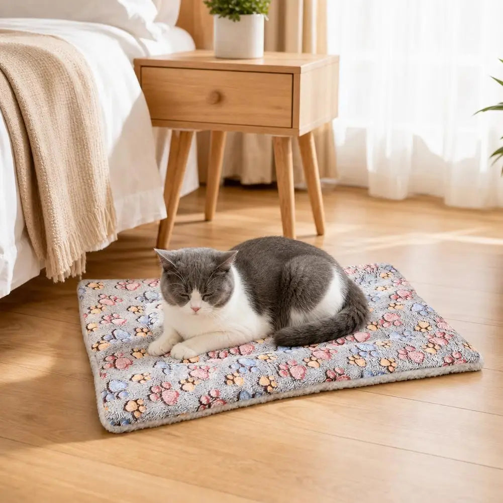 S-XXL Thick And Soft Pet Mat All Season Dog - MyPetDollar.com