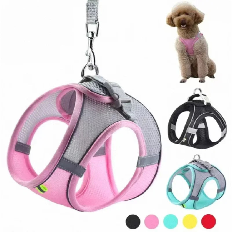 Puppy Cat Vest Harness With Leash Breathable - MyPetDollar.com