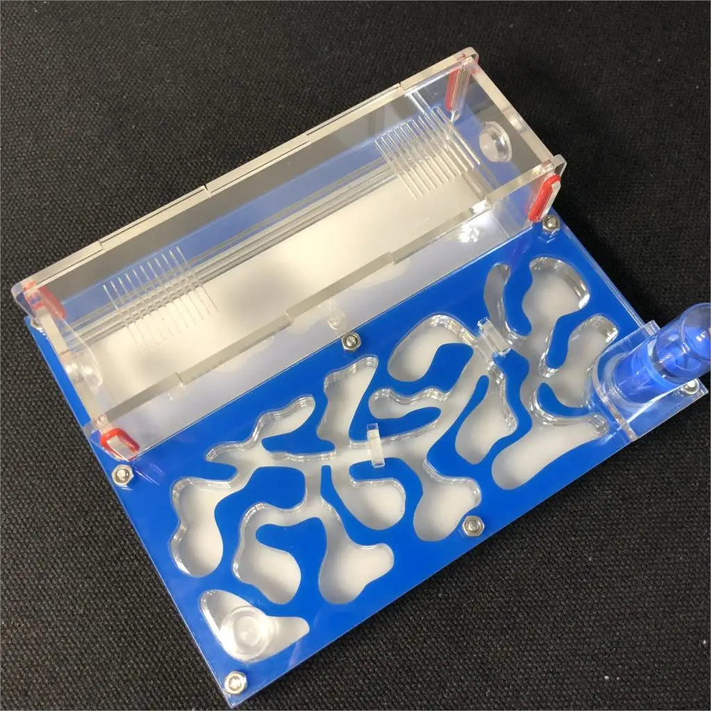 150mmx110mm test tube Moisture big space Ant - MyPetDollar.com
