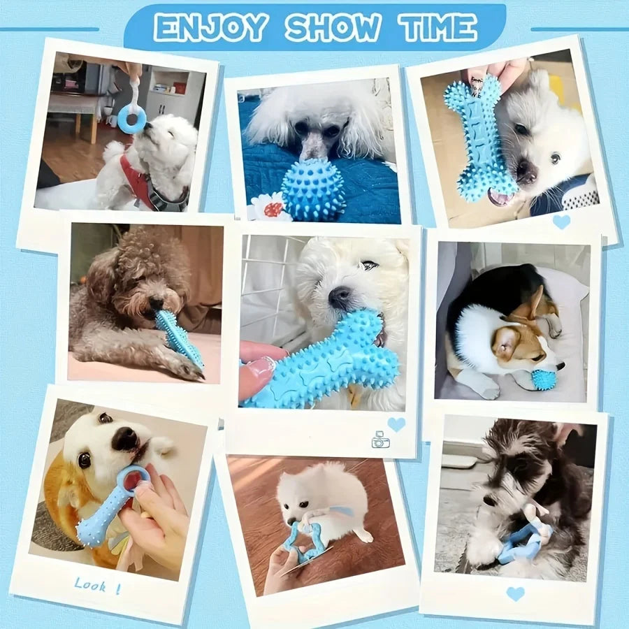 6-Piece Set of Bite-Resistant Toys for Small - MyPetDollar.com