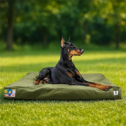 42 Inch Indestructible Canvas Outdoor Dog - MyPetDollar.com