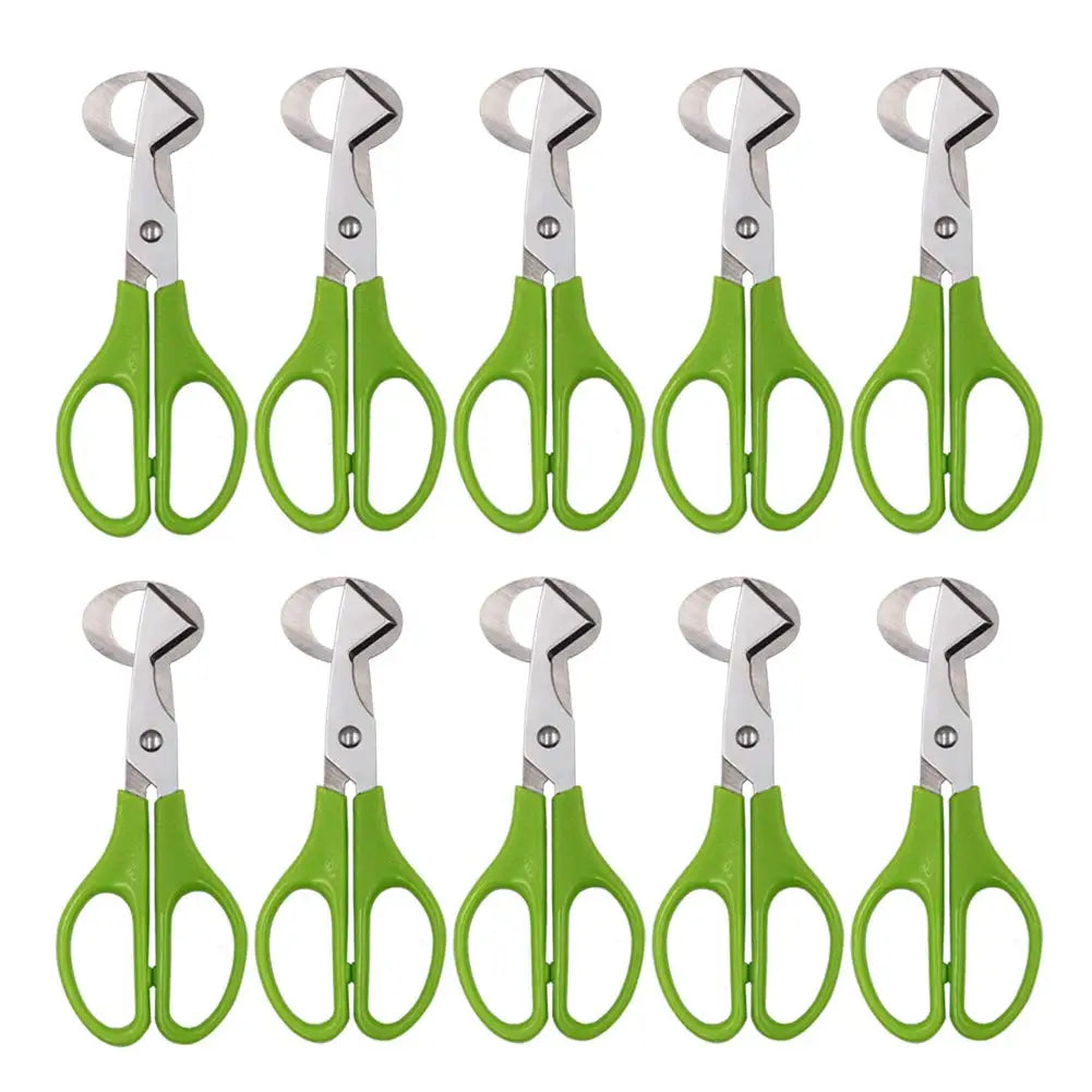 10PCS Kitchen Tool Stainless Steel Quail Egg - MyPetDollar.com