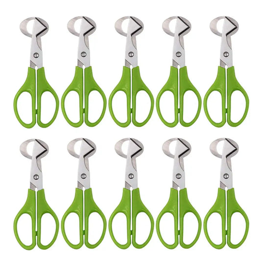 10PCS Kitchen Tool Stainless Steel Quail Egg - MyPetDollar.com