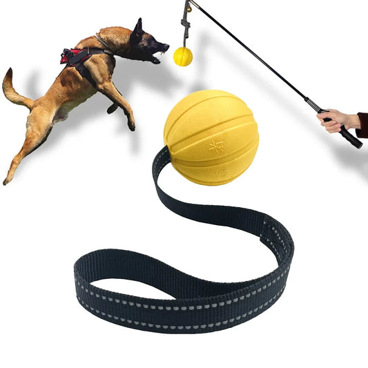 Dog Toy Balls On a Rope for Small Medium - MyPetDollar.com