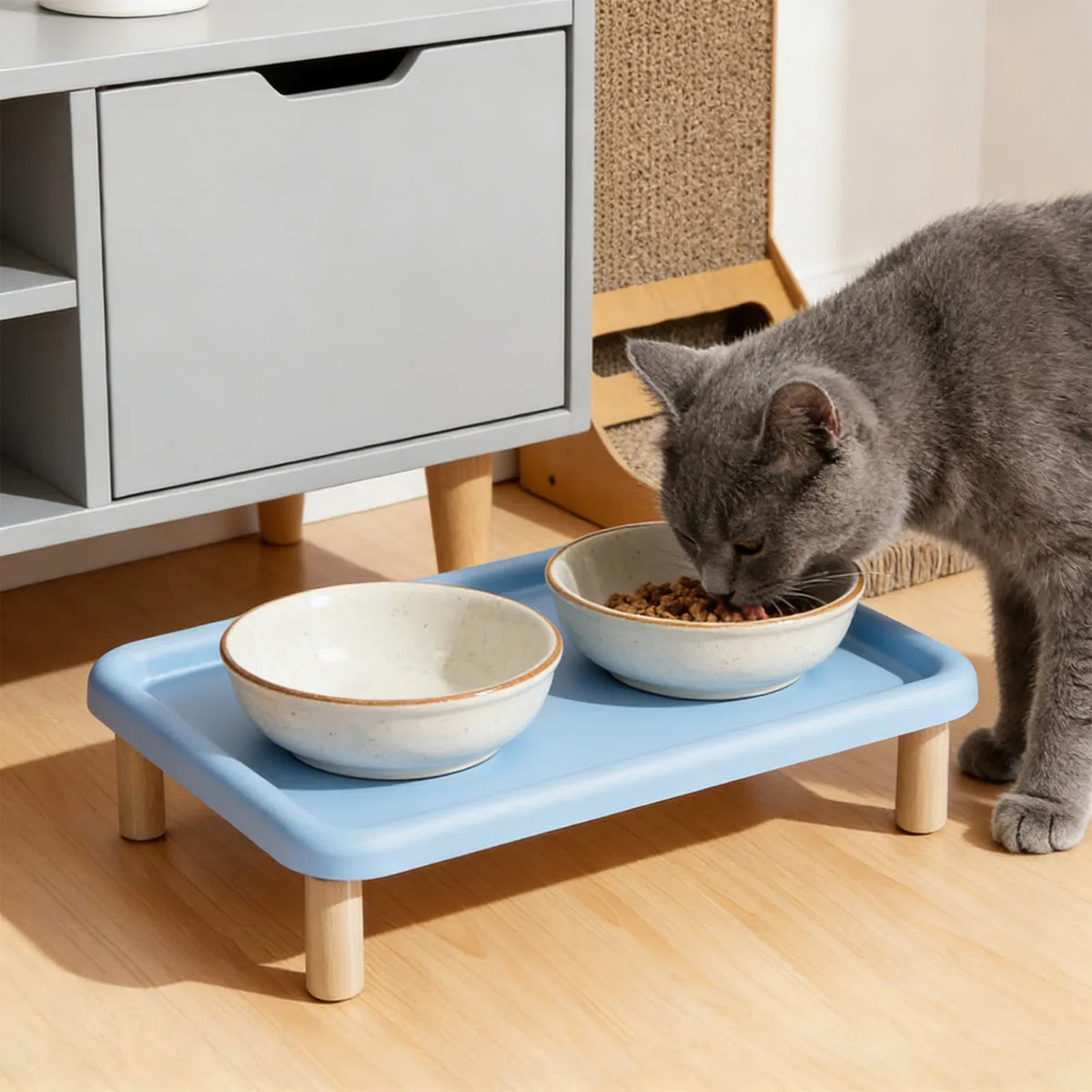 Elevated Cat Food Bowl Platform Portable for - MyPetDollar.com