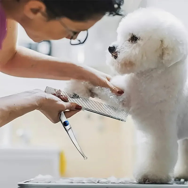 Safe and Precise Professional Pet Grooming - MyPetDollar.com