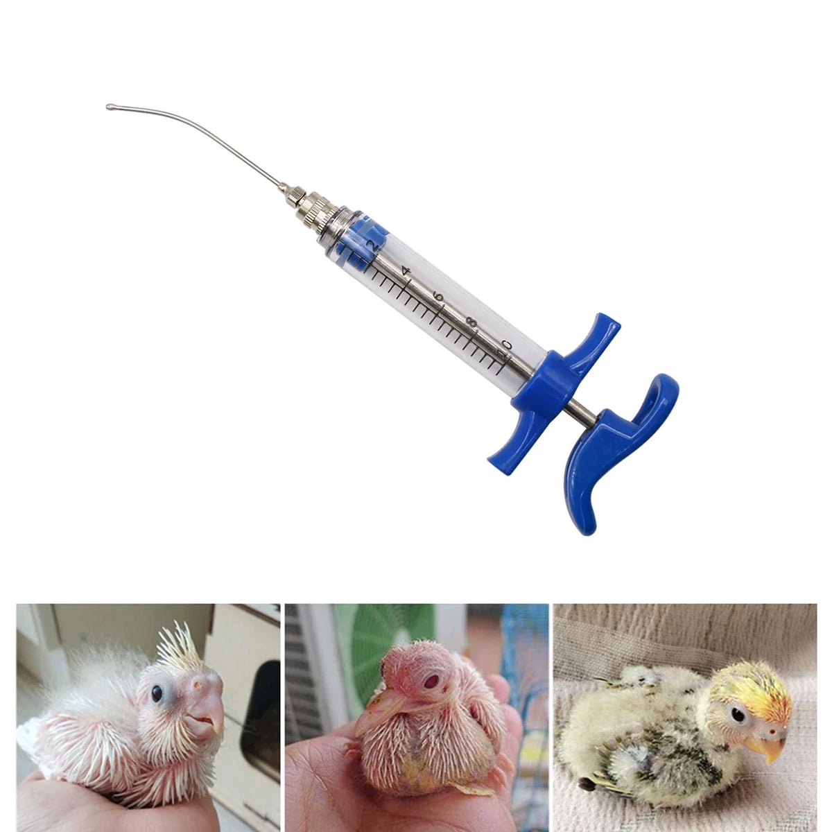 Parrot Feeding Tubes Birds Feeding Syringe - MyPetDollar.com