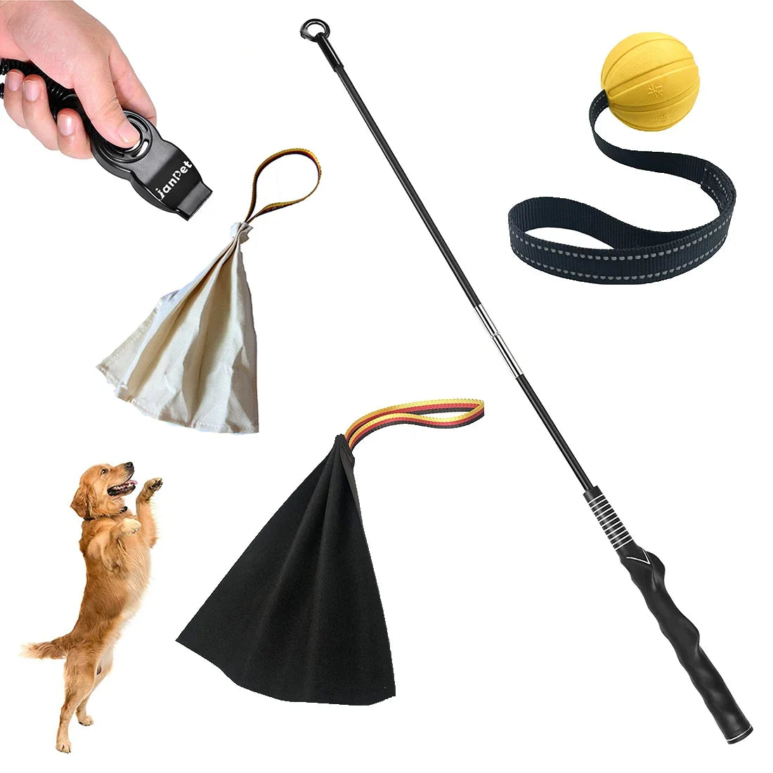 Interactive Flirt Pole for Dogs, Leather - MyPetDollar.com