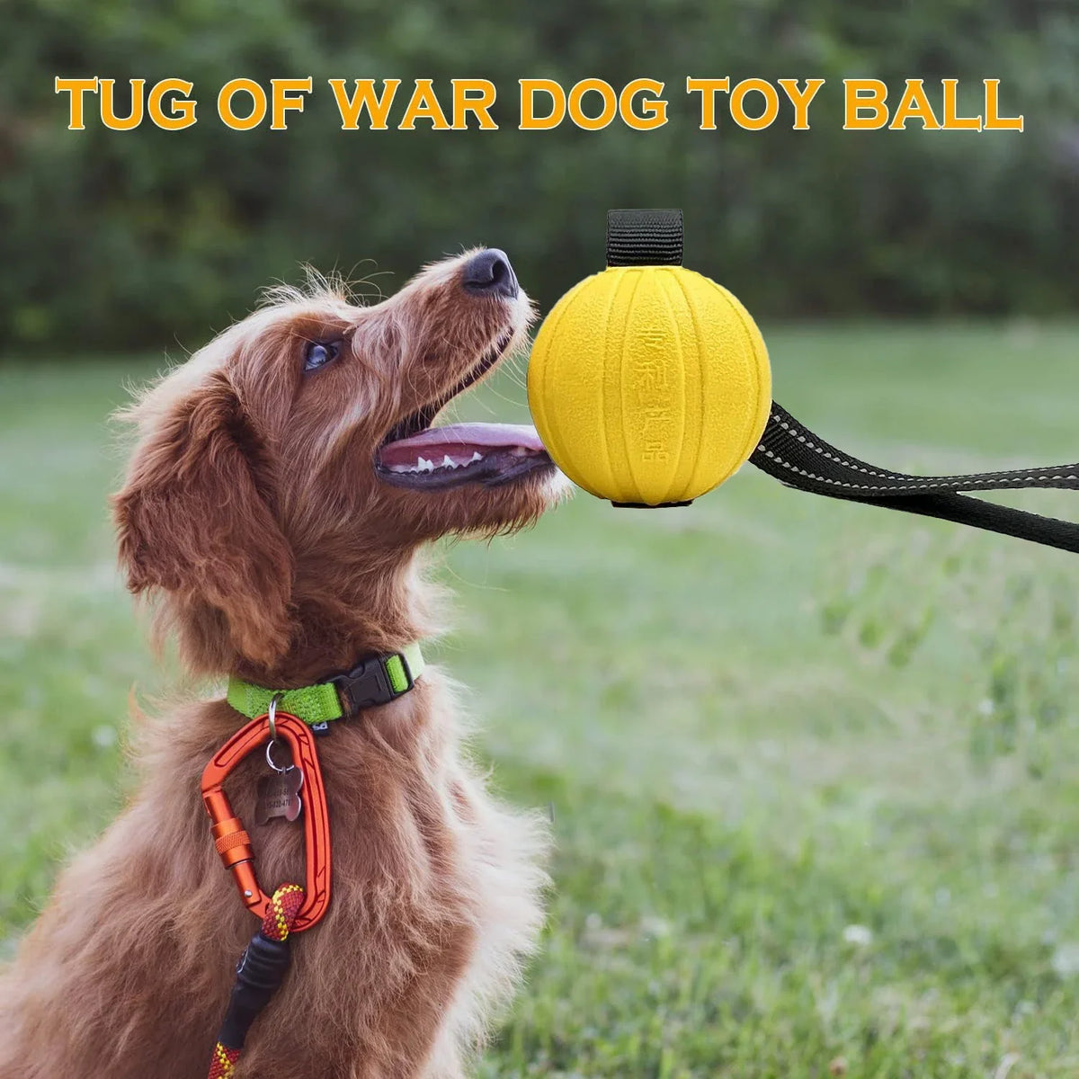 Dog Toy Balls On a Rope for Small Medium - MyPetDollar.com