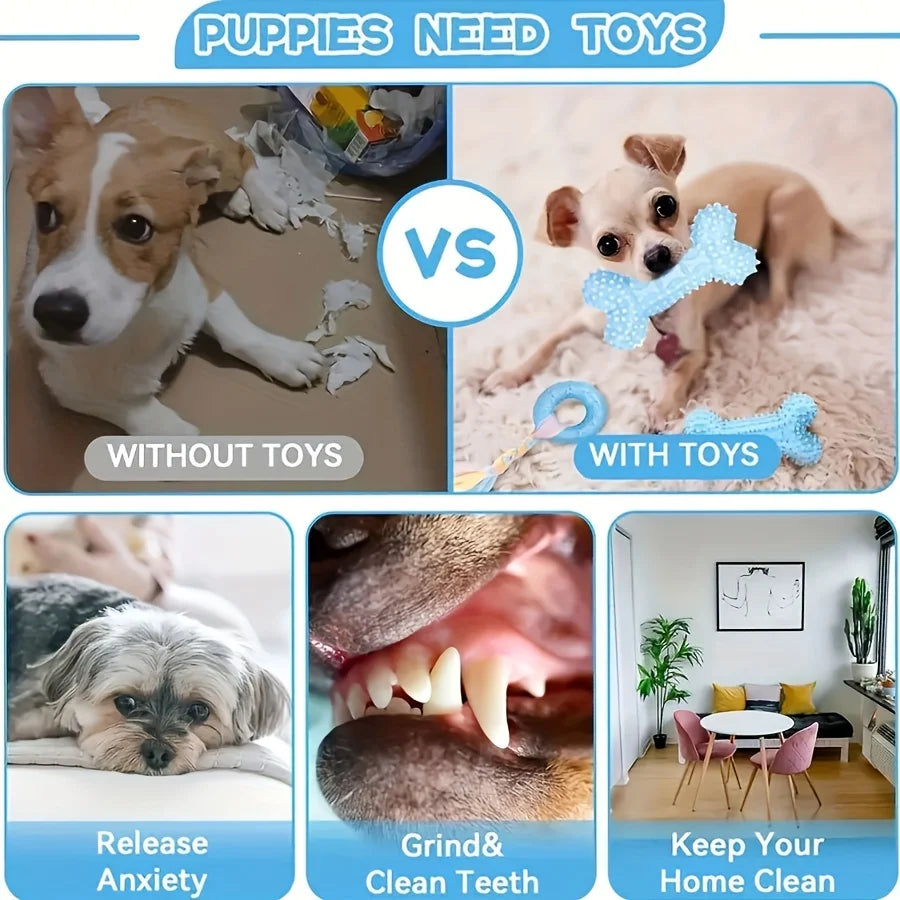 6-Piece Set of Bite-Resistant Toys for Small - MyPetDollar.com