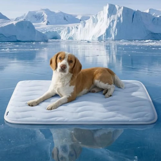 Bedsure Cooling Mat for Medium to Extra - MyPetDollar.com