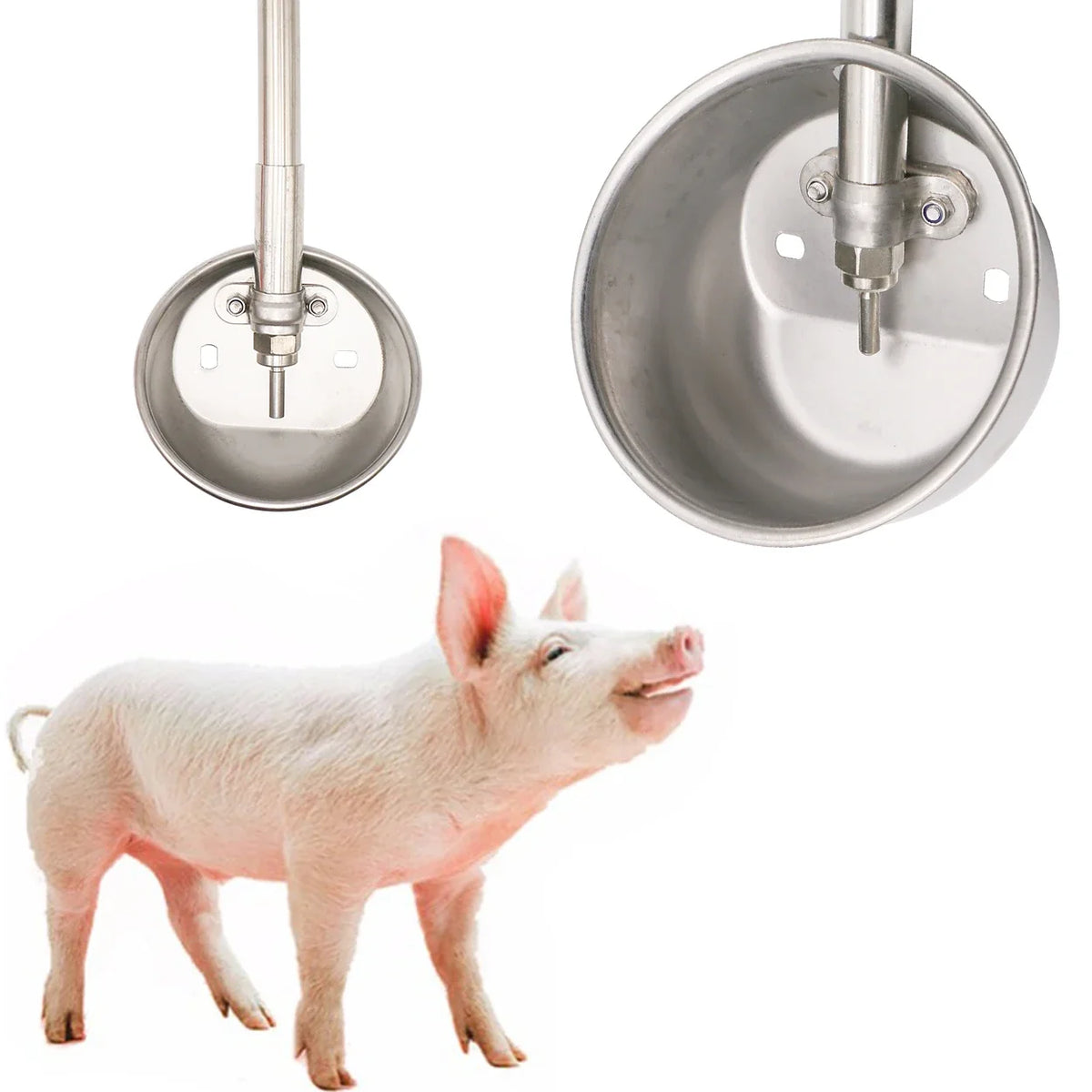 1 Pcs Pig Drinking Trough 304 Stainless - MyPetDollar.com