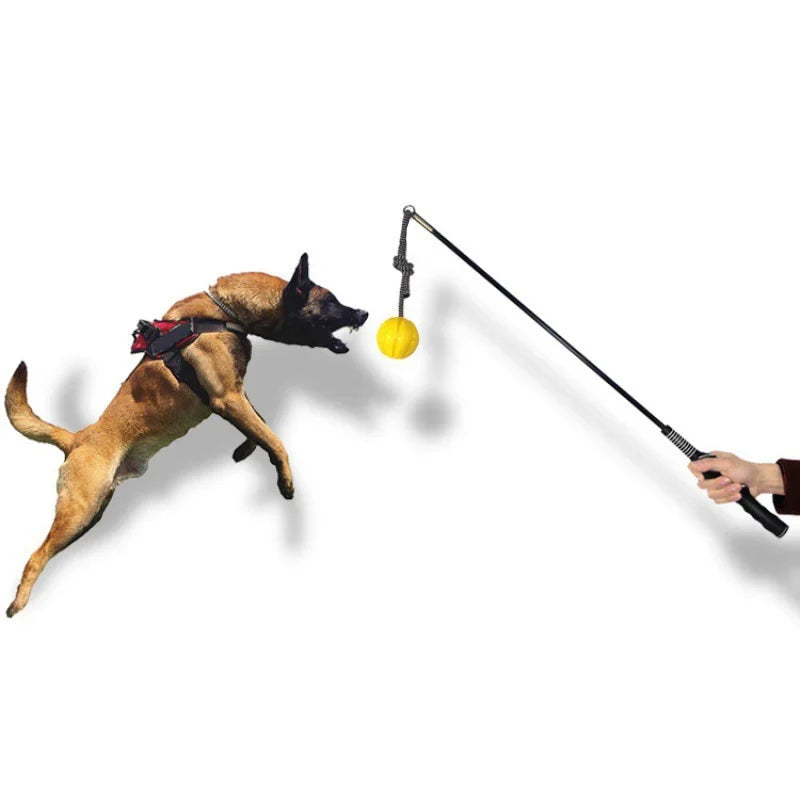 Interactive Flirt Pole for Dogs, Leather - MyPetDollar.com