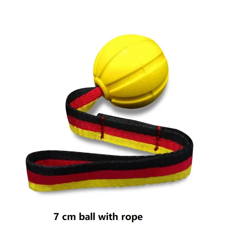 Interactive Flirt Pole for Dogs, Leather Bite Rag Dog Chew – 8 Colors