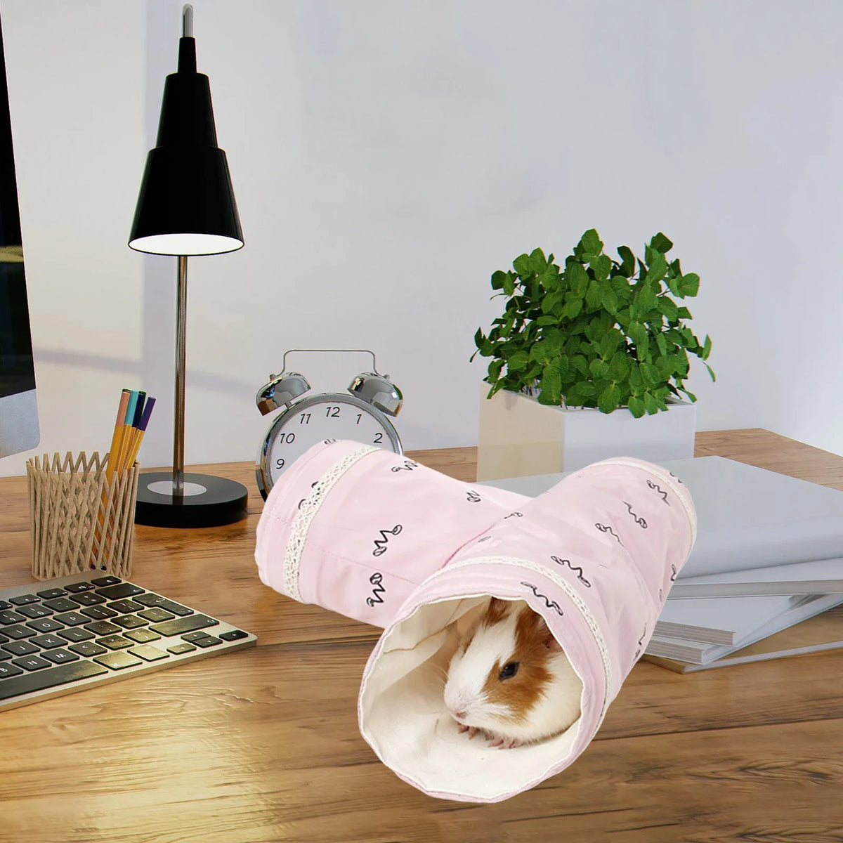 Hamster Pet Toy drill holes 2-Way/3-Way in - MyPetDollar.com