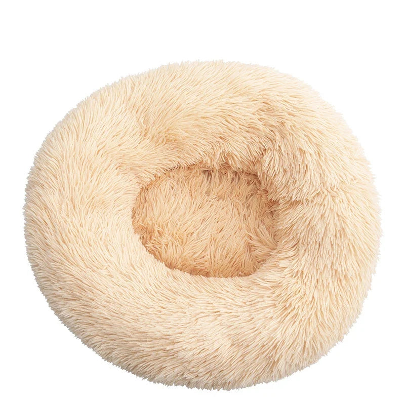 Donut Mand Dog Accessories for Large Dogs - MyPetDollar.com
